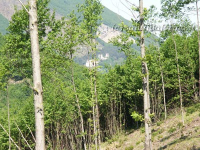 Il castello di Monteforte Irpino visto dal Casone